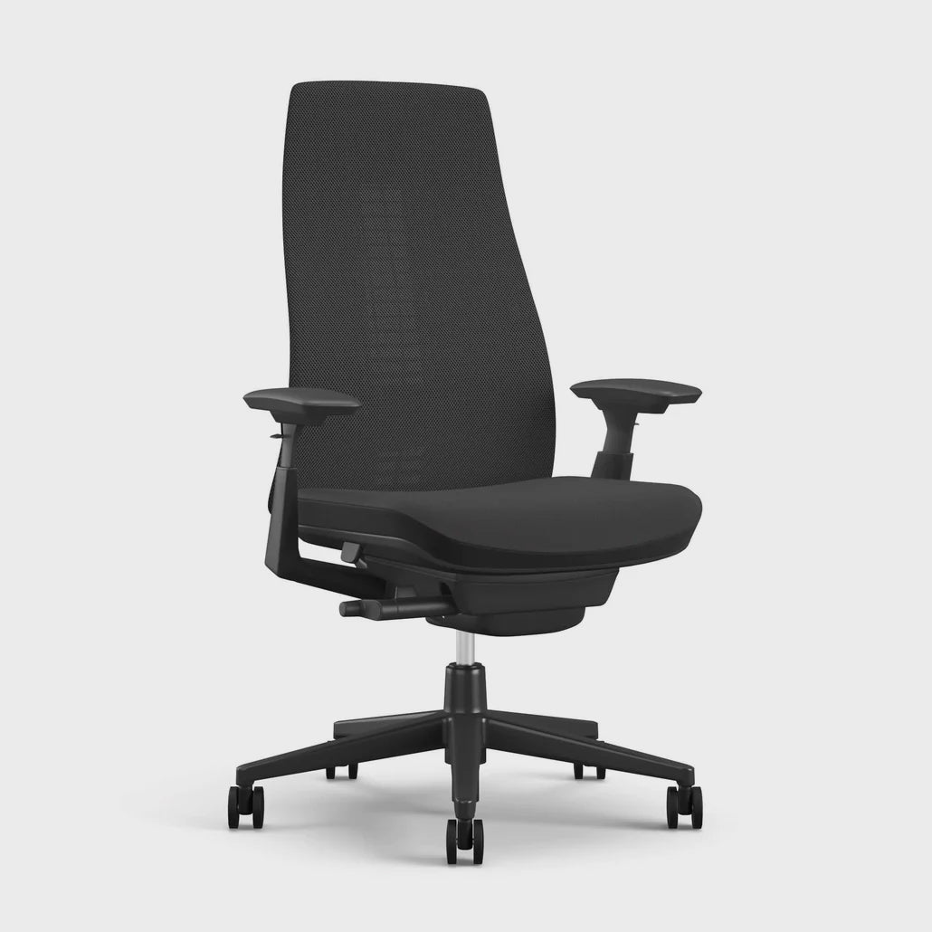 Fern Ergonomic Office Chair