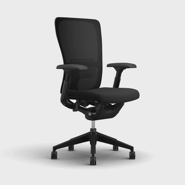 Zody Ergonomic Office Chair